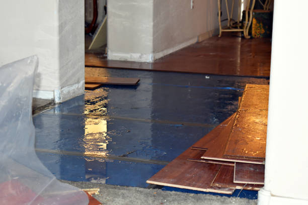 Professional Basement Flood Cleanup technician working in Stoddard, NH